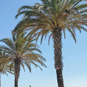  Apartamento Studio Roses Plage España